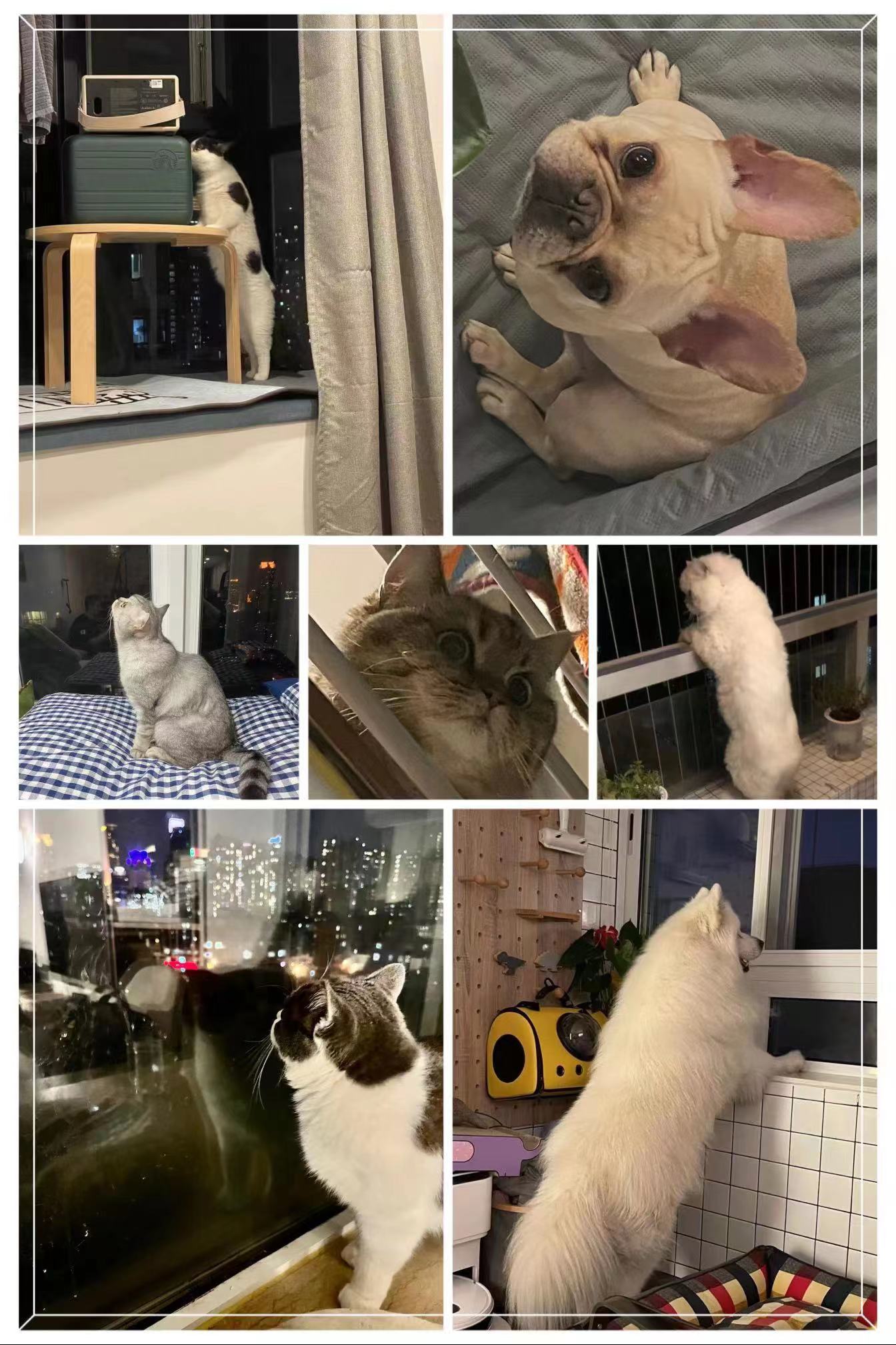 微信圖片_202205051455551.jpg 微信圖片_202205051455551.jpg