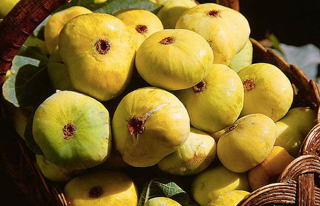 圖片4.png 圖片4.png